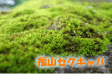 福山セクキャバサイト作成者の独り言画像